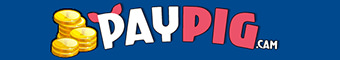 www.paypig.cam